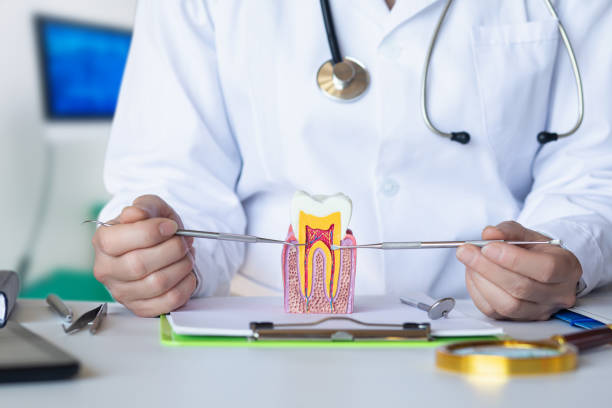 Best Emergency Root Canal Treatment in Calera, OK